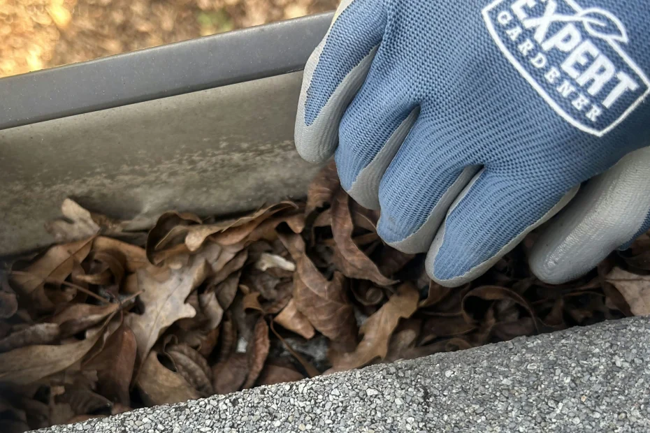 Gutter Cleaning Delaware City