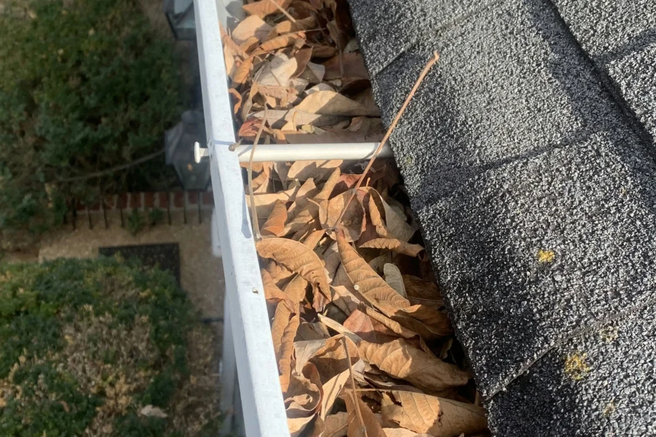 Gutter Cleaning Delaware City