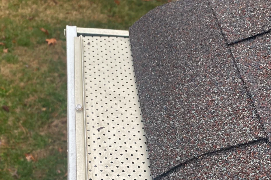 Gutter Cleaning Delaware City