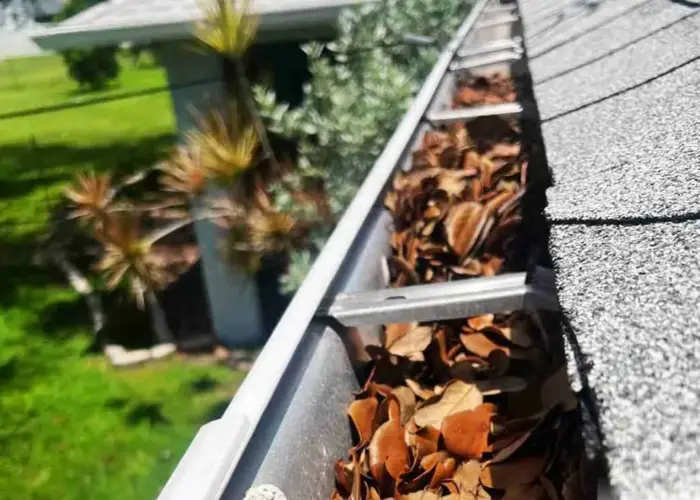 Gutter Cleaning Delaware City home page